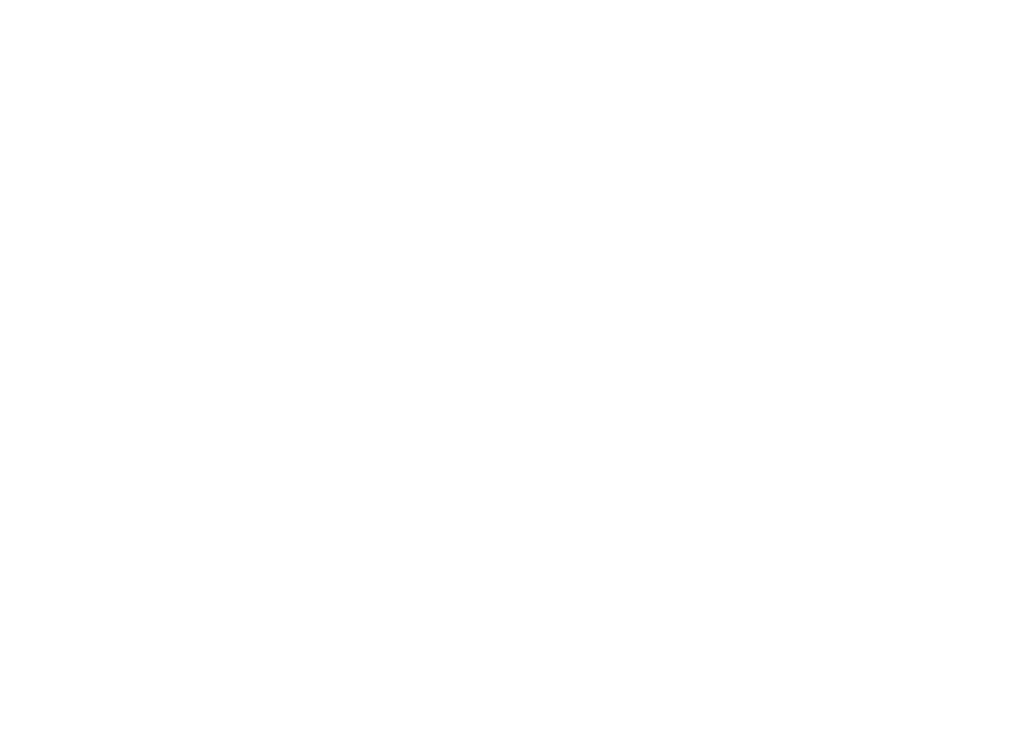 logo-x2